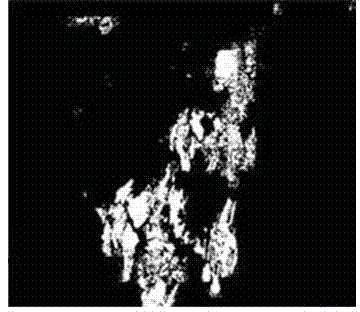 Target tracking method and system based on video image