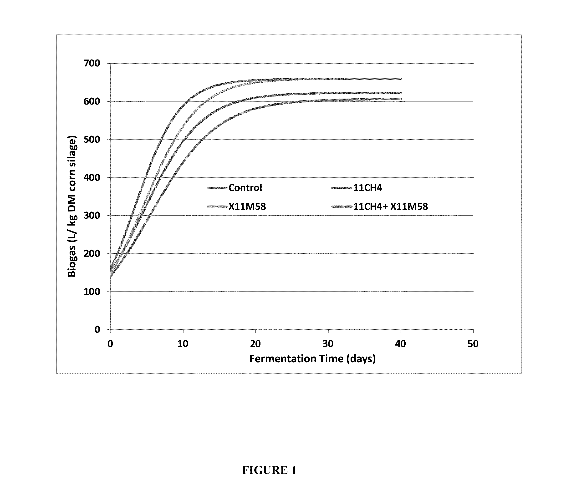 Compositions and methods comprising a combination silage inoculant