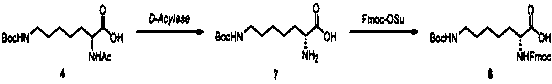 Synthesis method of double different protected amino acids