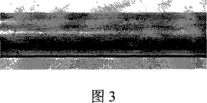 Activating process for nonmetal basal body chemical plating