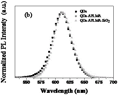Method for preparing cadmium compound quantum dot fluorescent thin film