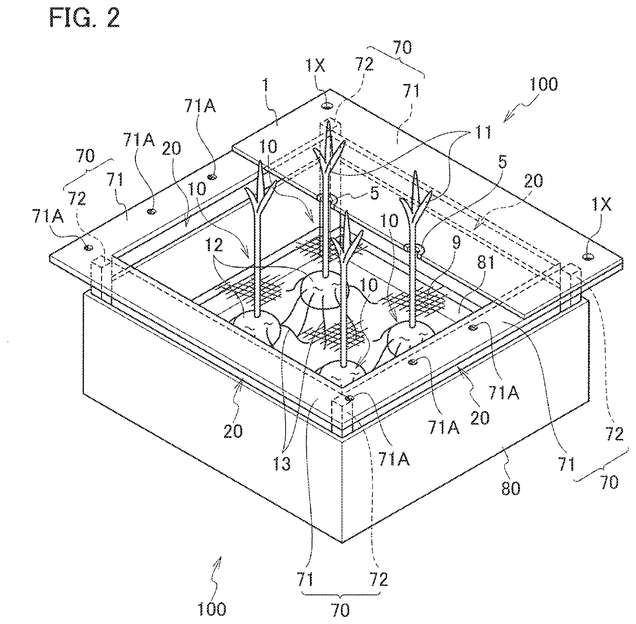 Hydroponic cultivation apparatus