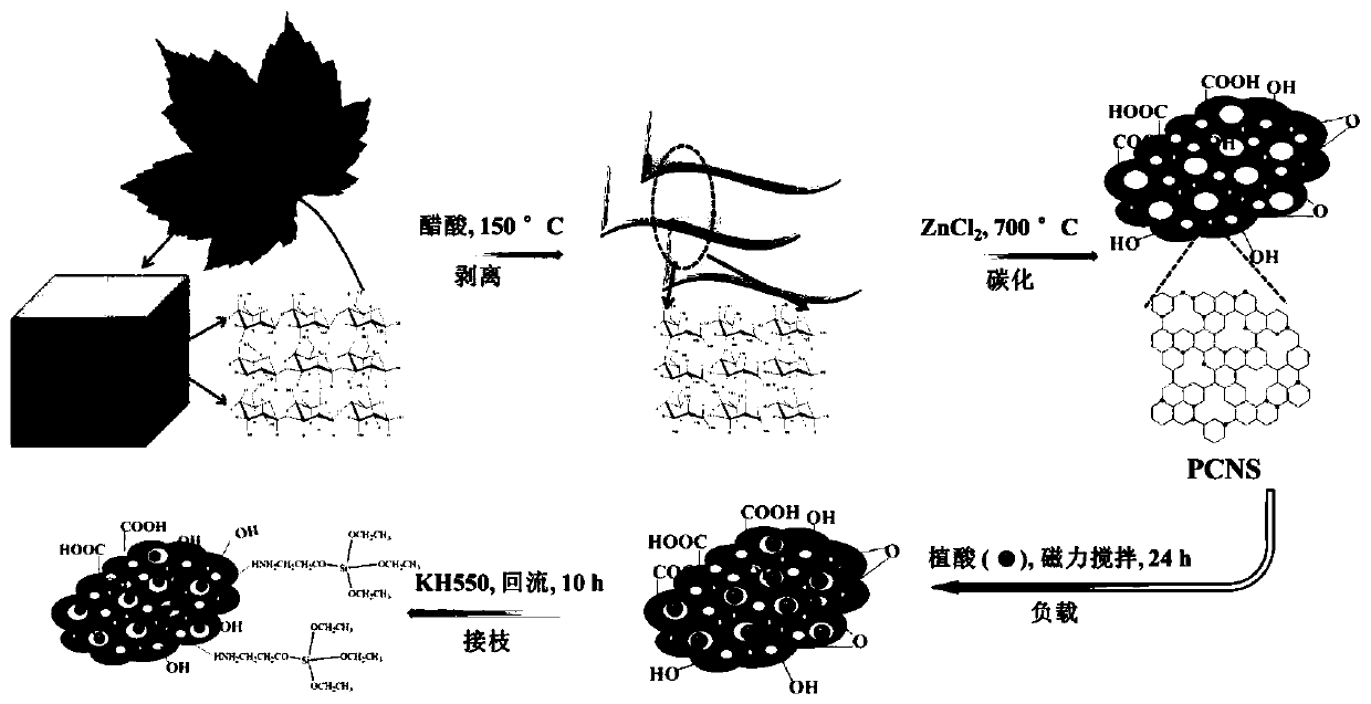 Preparation method of phytic acid and KH550 modified biomass derived porous carbon nanosheets
