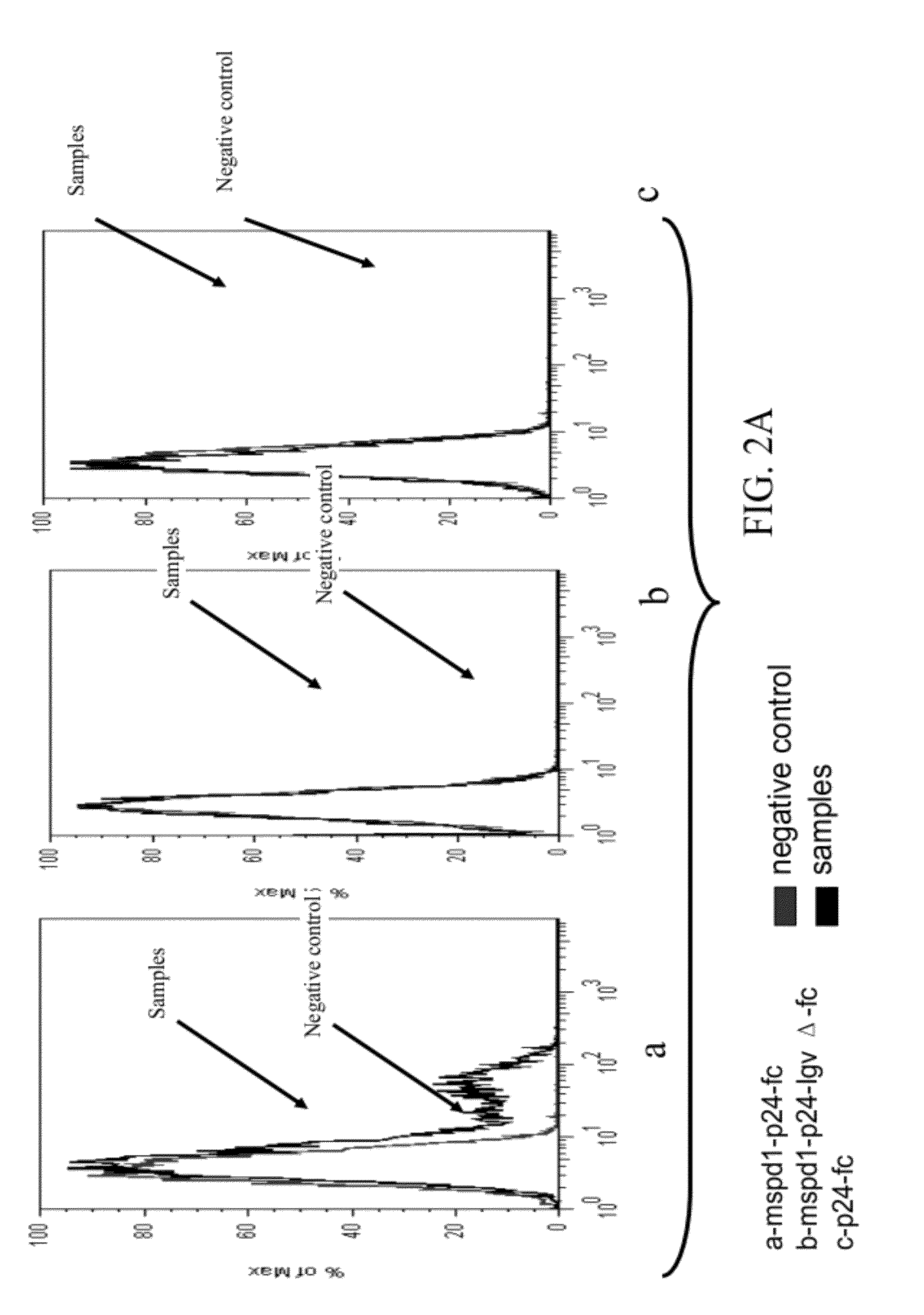 Soluble pd-1 variants, fusion constructs, and uses thereof