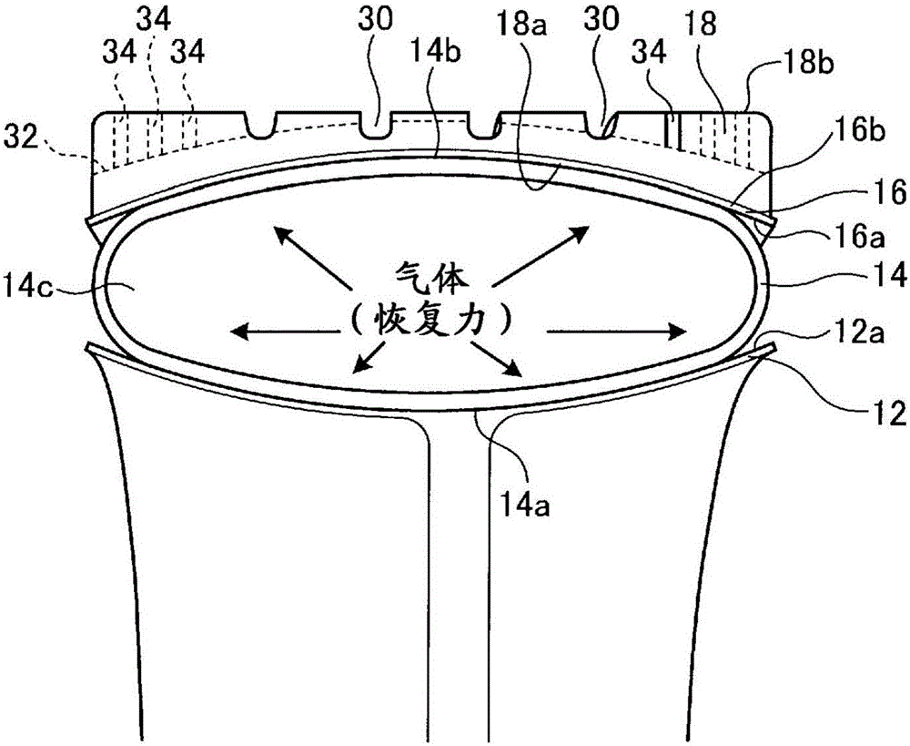 Tire/Wheel Assembly and Tread Ring