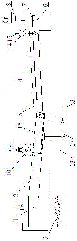 Insect specimen making device