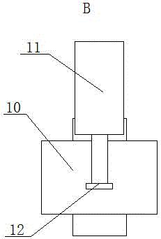 Insect specimen making device