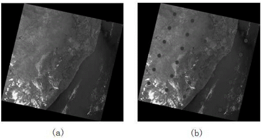 Coastline area remote sensing map-based satellite borne spectrograph pointing registration method