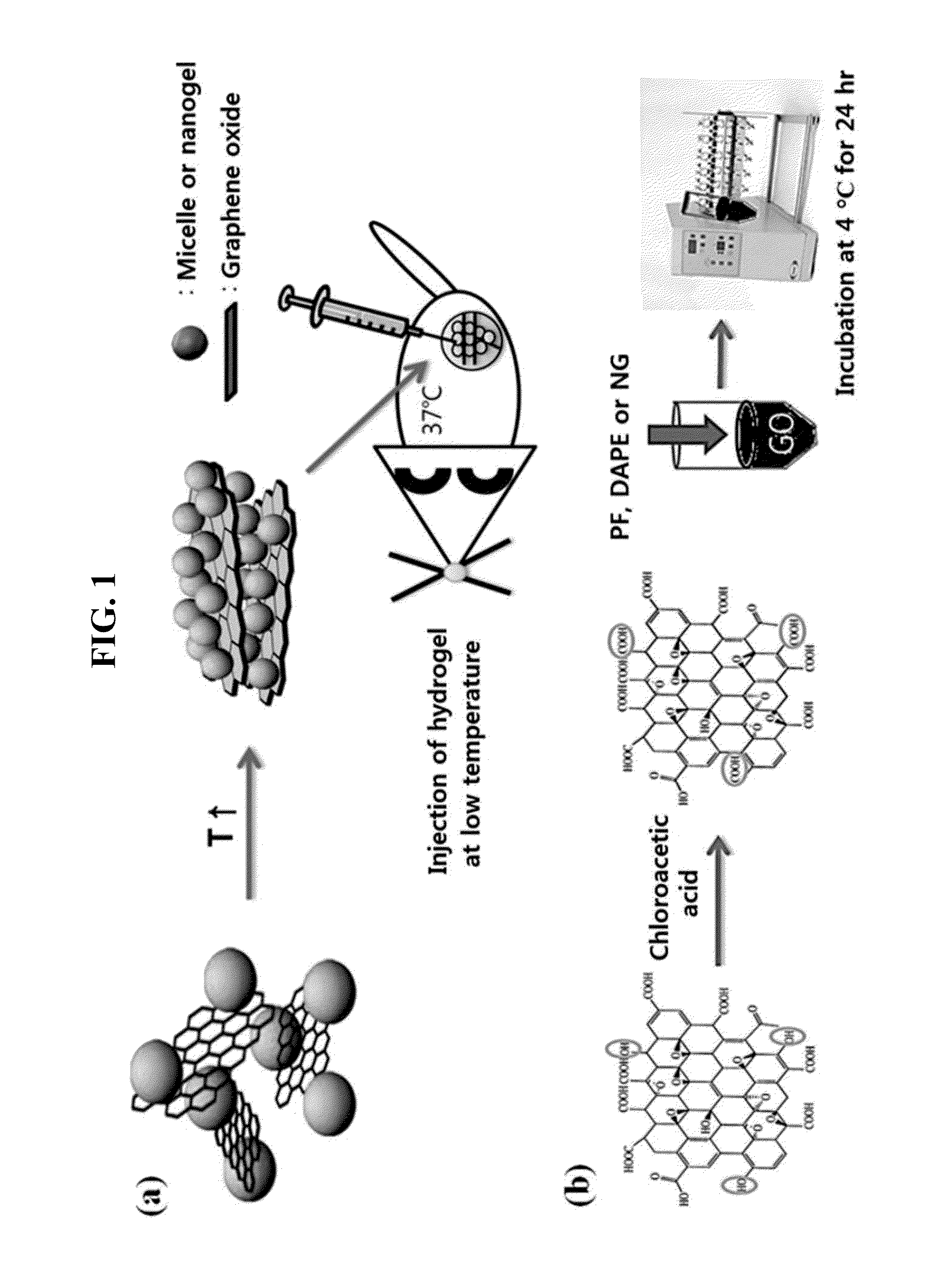 Composition for forming pluronic-based hydrogel with improved stability
