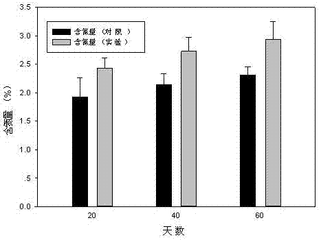 Microbial fertilizer for promoting rice to absorb nutrients, and preparation method of microbial fertilizer