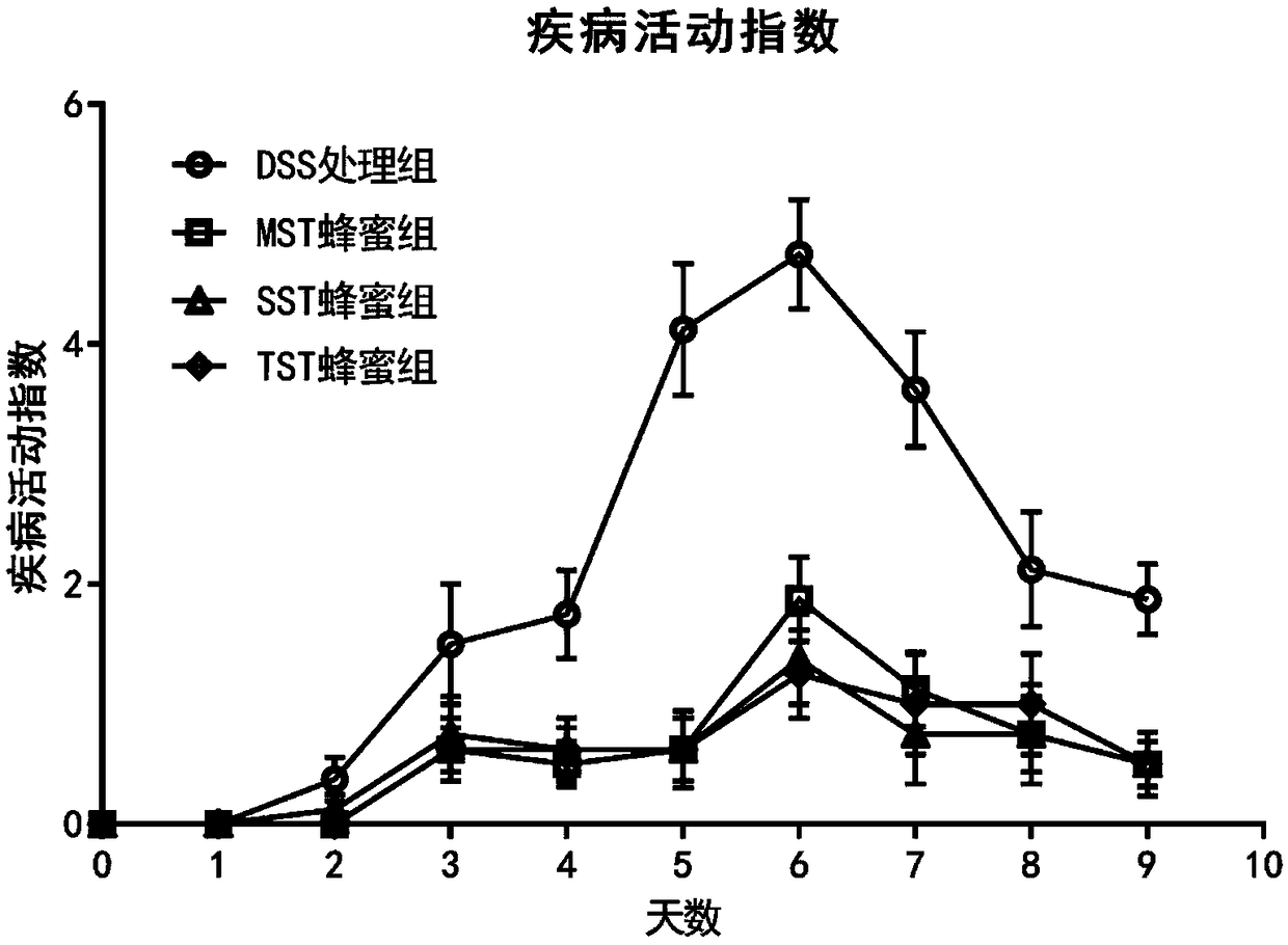 Stingless bee honey extract and extracting method and application thereof