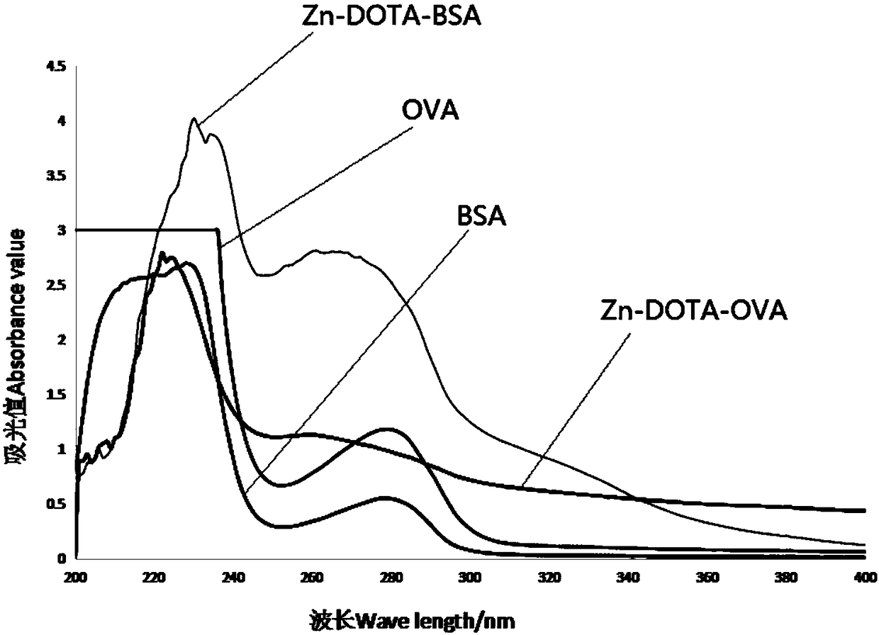 Preparation method of heavy metal zinc artificial antigen and application of DOTA in preparation of heavy metal zinc artificial antigen reagents