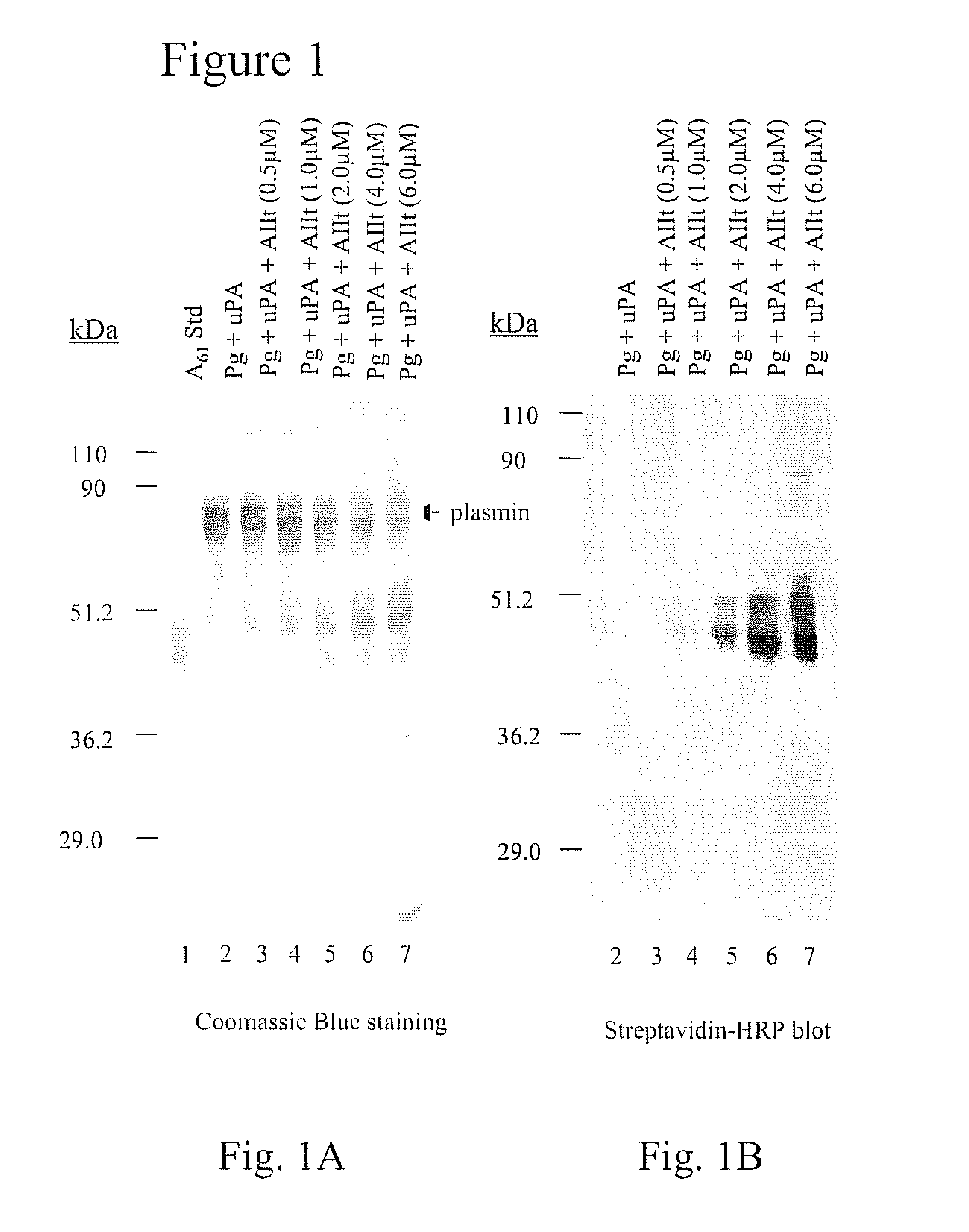 Compositions and methods for inhibiting tumor growth and metastasis