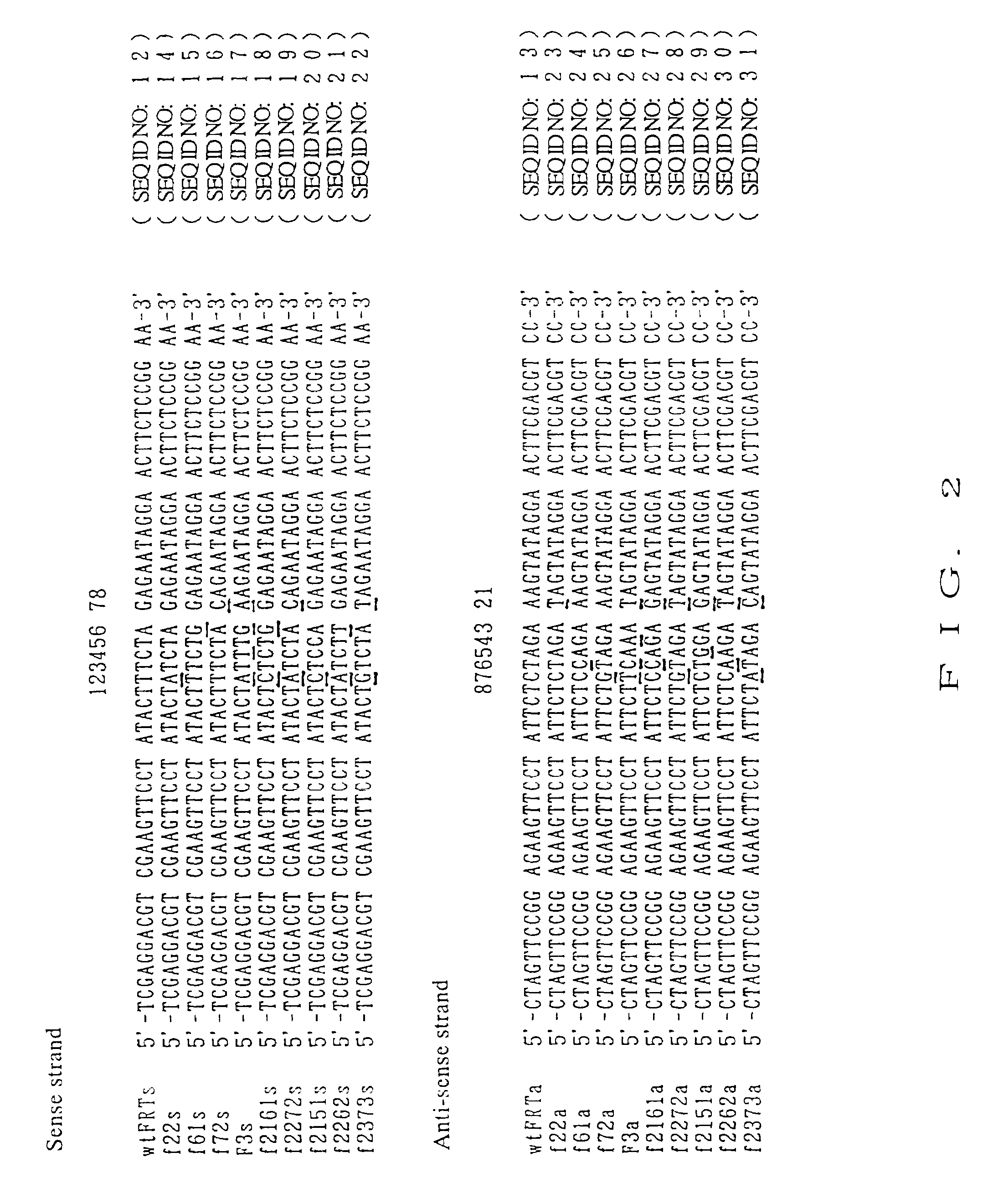 DNA containing variant FRT sequences
