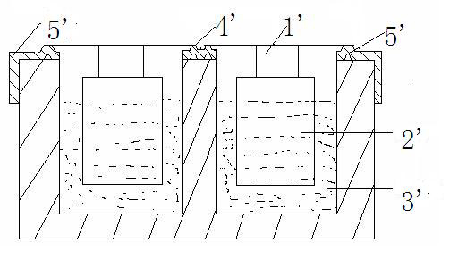Process for specially-shaped electrolytic conductive material