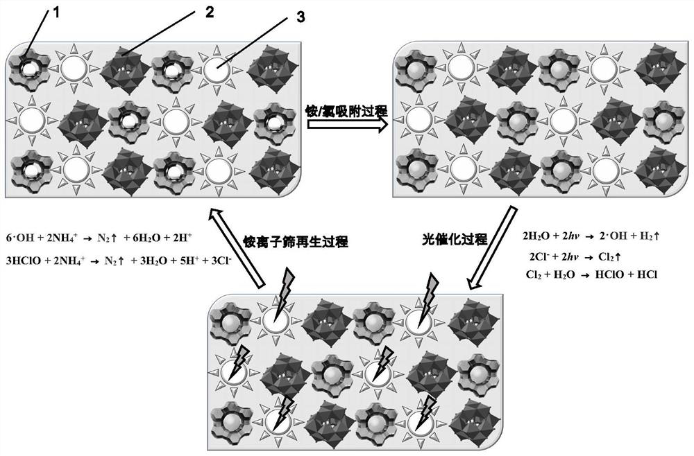 Visible light micro-nano reactor membrane for selective removal of ammonia nitrogen, its preparation method and application