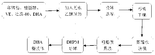 DHA (docosahexaenoic acid) liposome preparation method