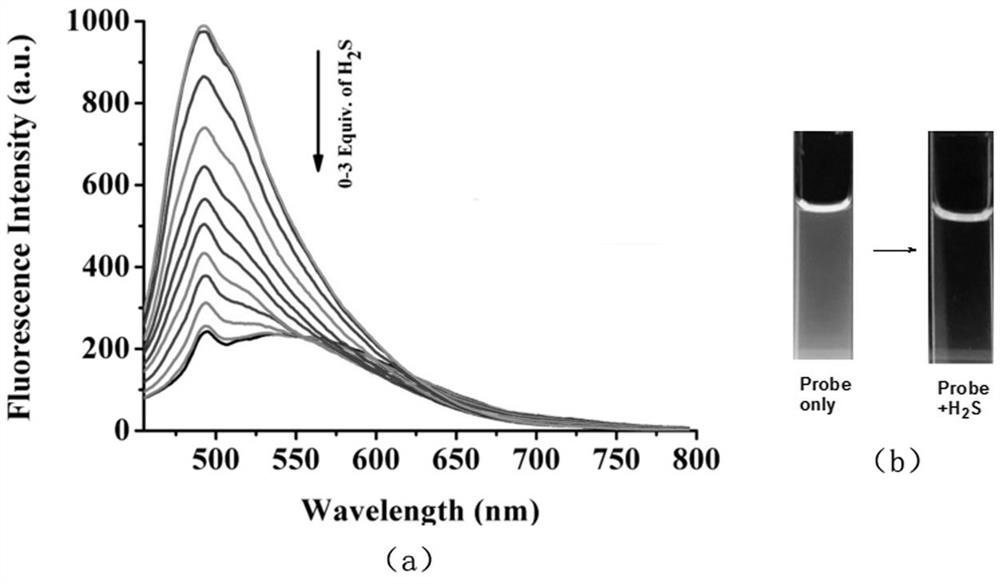 A kind of hydrogen sulfide fluorescent probe and its preparation method and application