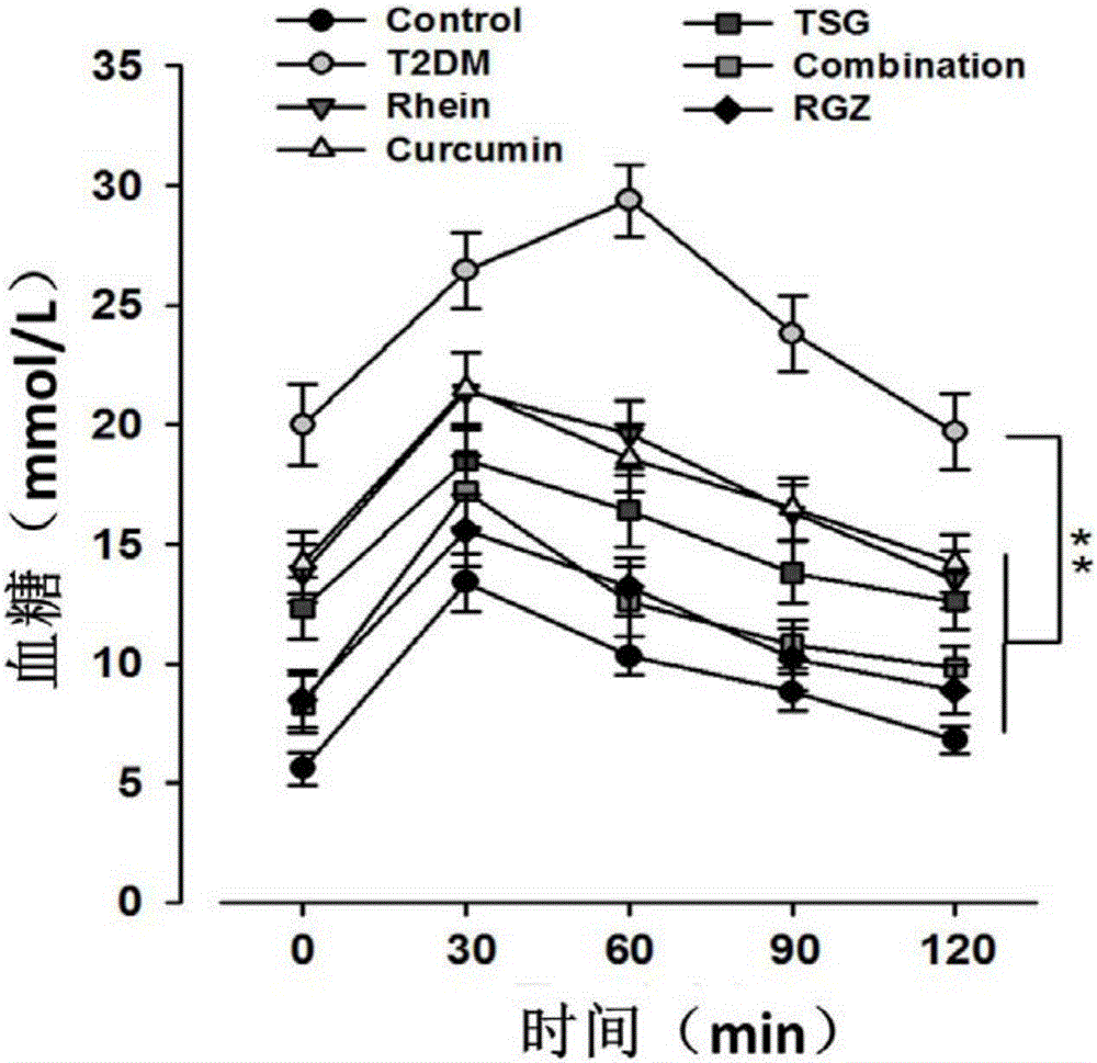 Application of rhein or curcumin in preparation of medicines for preventing and/or treating diabetic nephropathy