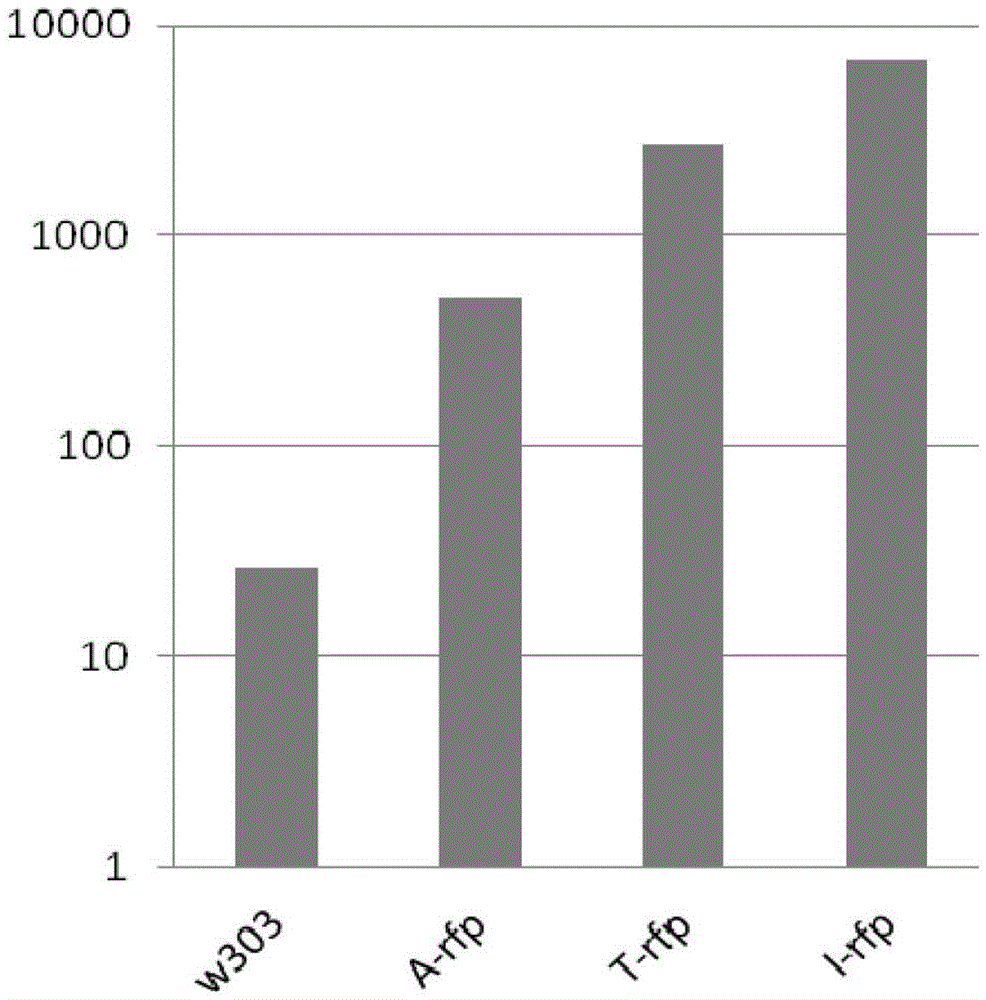 A Saccharomyces cerevisiae integrative expression vector