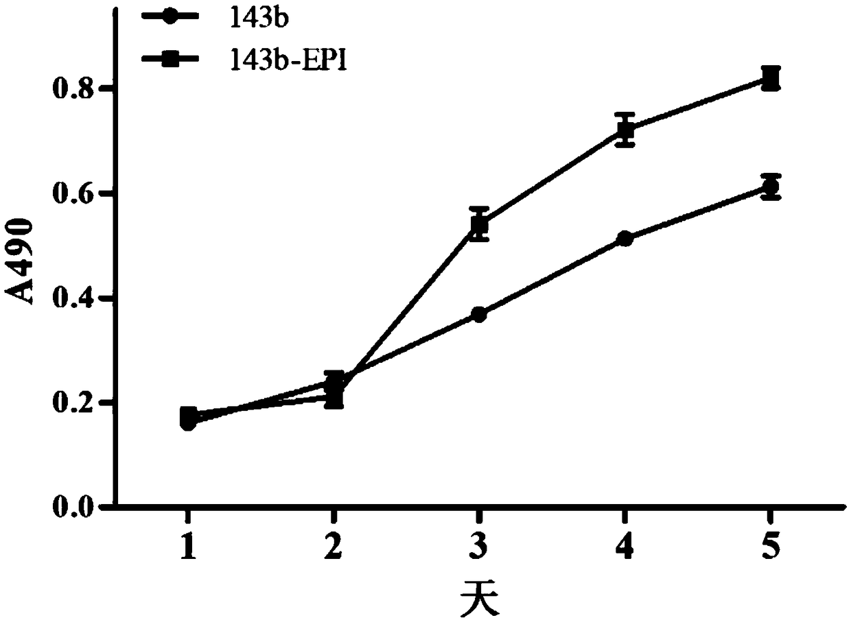 Establishing method of osteosarcoma EPI (Epirubicin) drug-resistant cell line