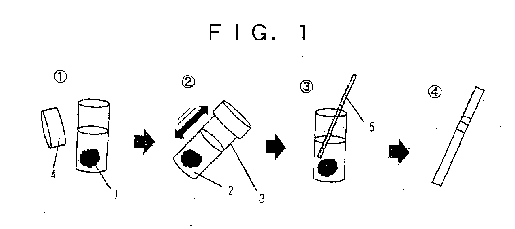 Method of detecting raw pork and detection kit therefor