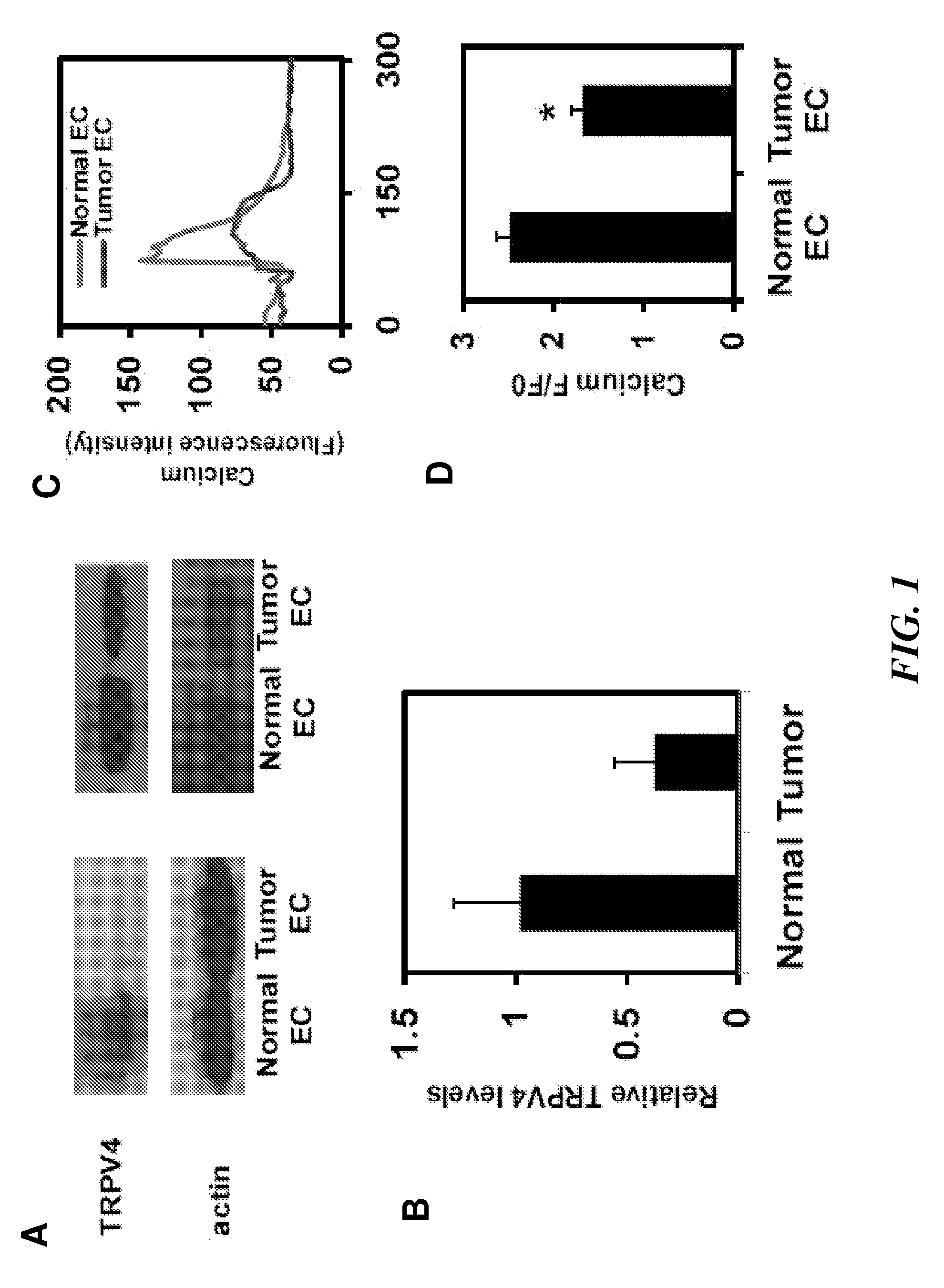 Improving efficacy of cancer therapy