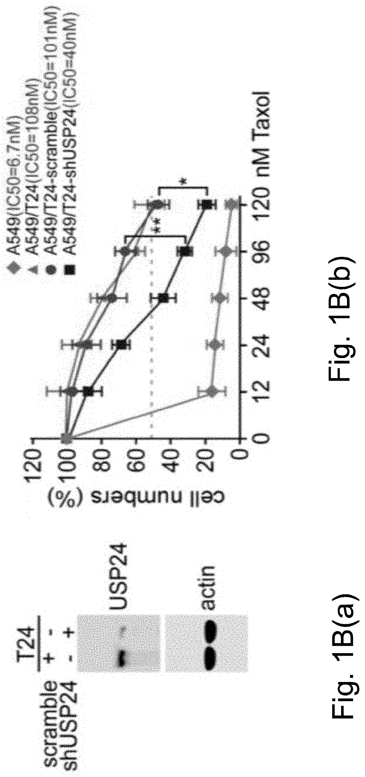 Ubiquitin-specific peptidase 24 inhibitor, medicinal composition and method of delaying or reversing multidrug resistance in cancers using the same