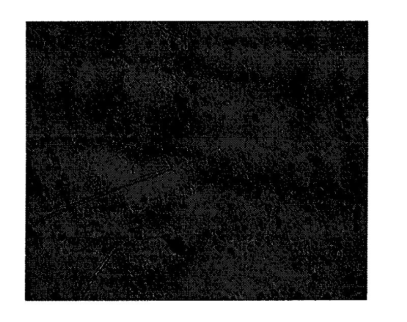 Fe4O3 surface modification method and preparation method of polystyrene magnetic microsphere