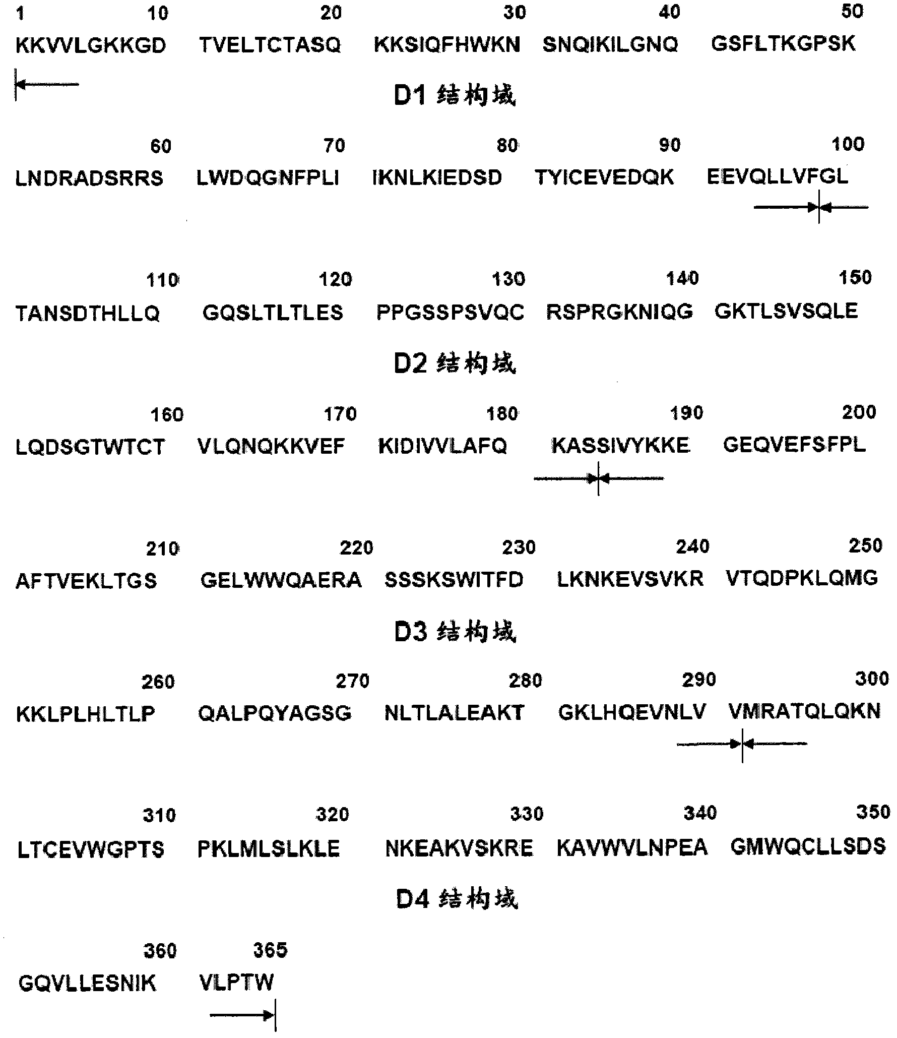 Anti-CD4 protein monoclonal antibody and its active fragment and application