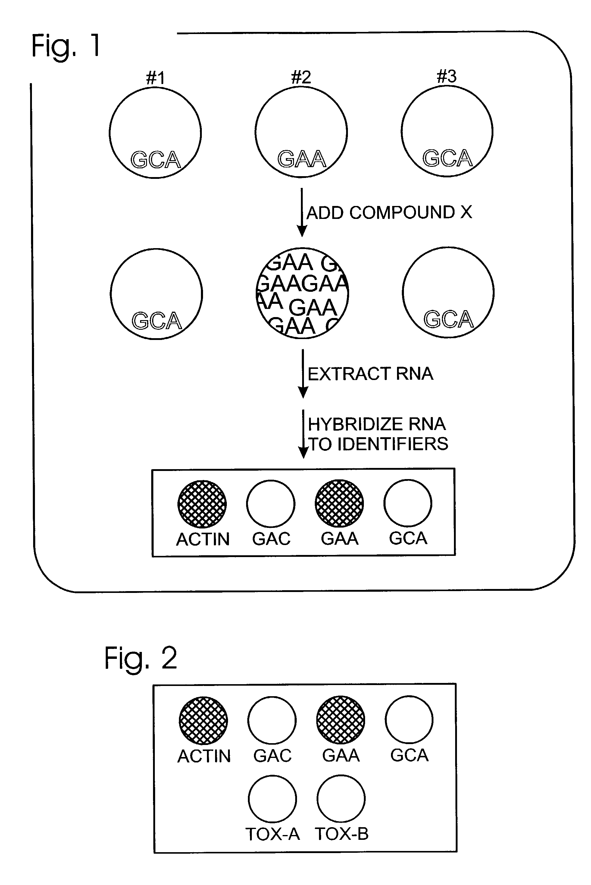 Biological assays using coded RNA reporters