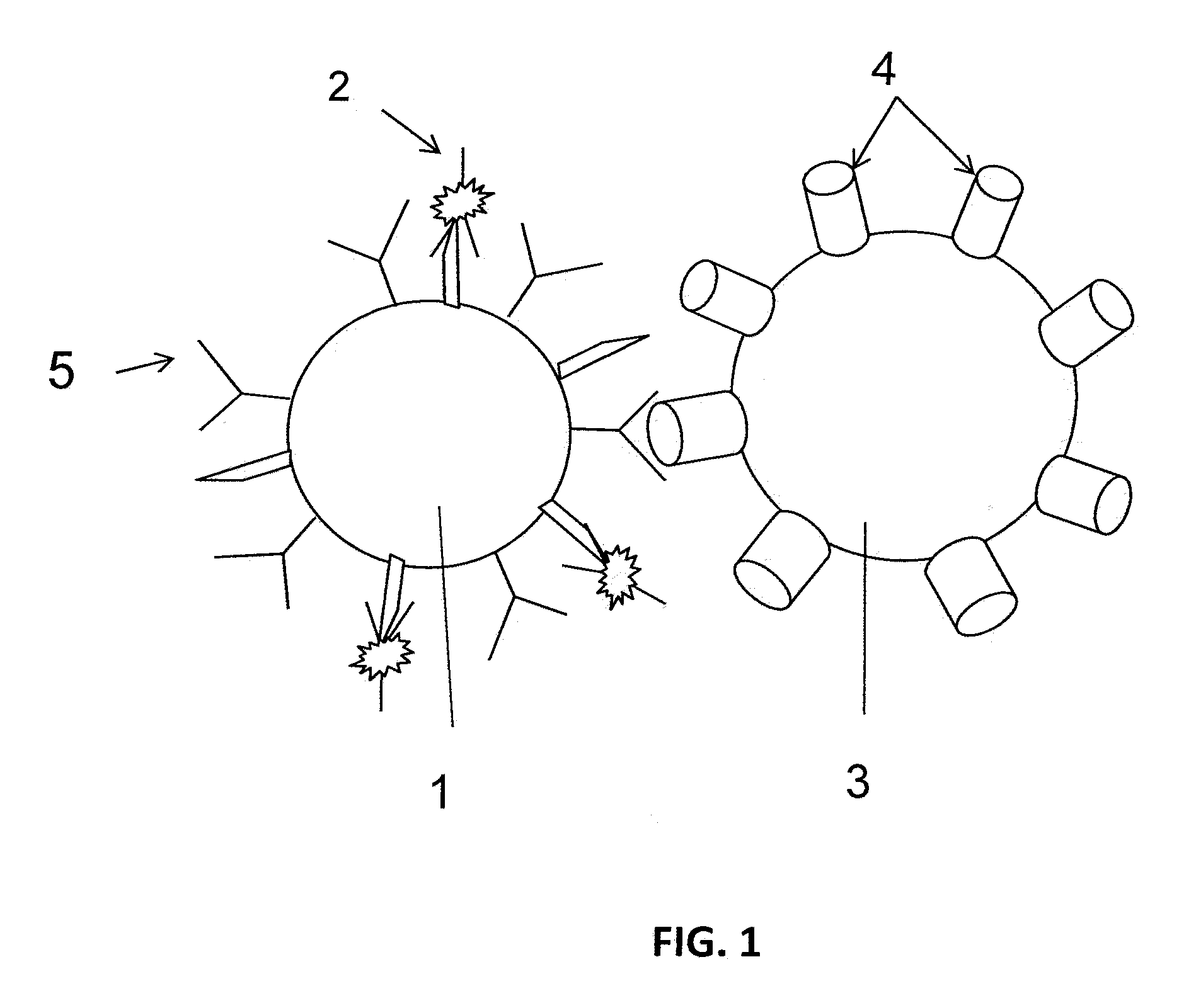Methods for identifying immunobinders of cell-surface antigens