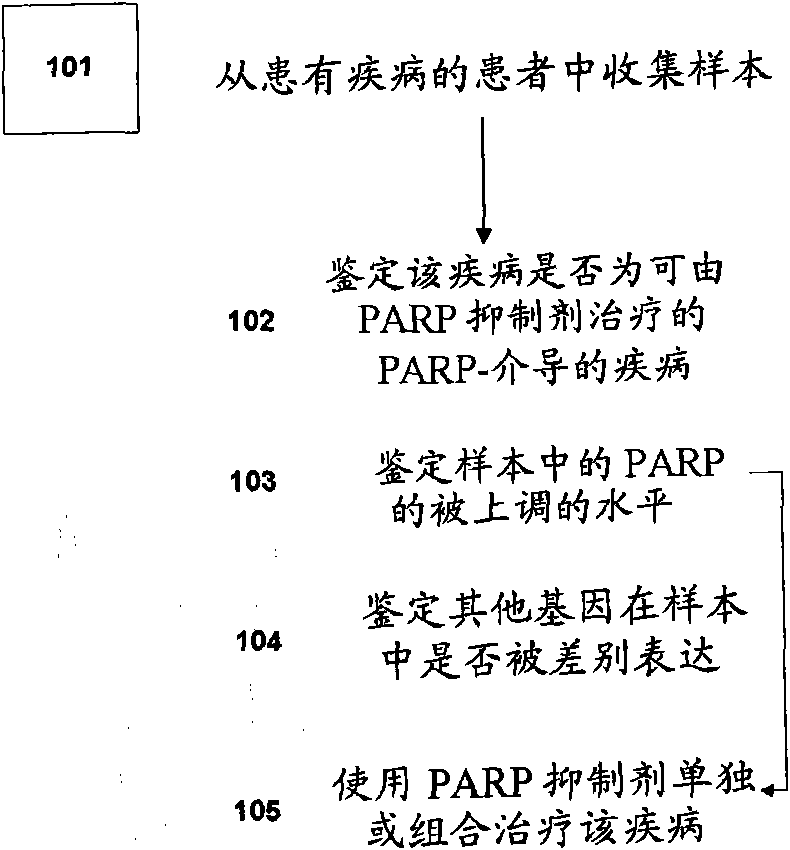 Methods of diagnosing and treating PARP-mediated diseases