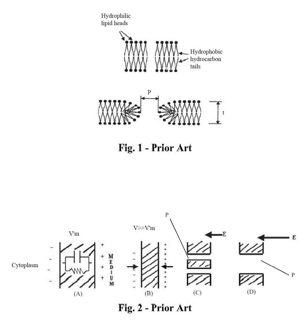 System and method for creating radio-frequency energy electrical membrane breakdown for tissue ablation