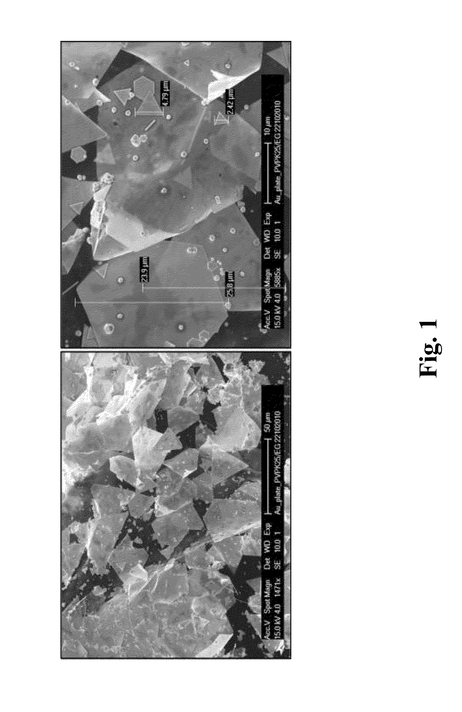 Composite material for the making of decorative items and procedure for the making of a decorative item