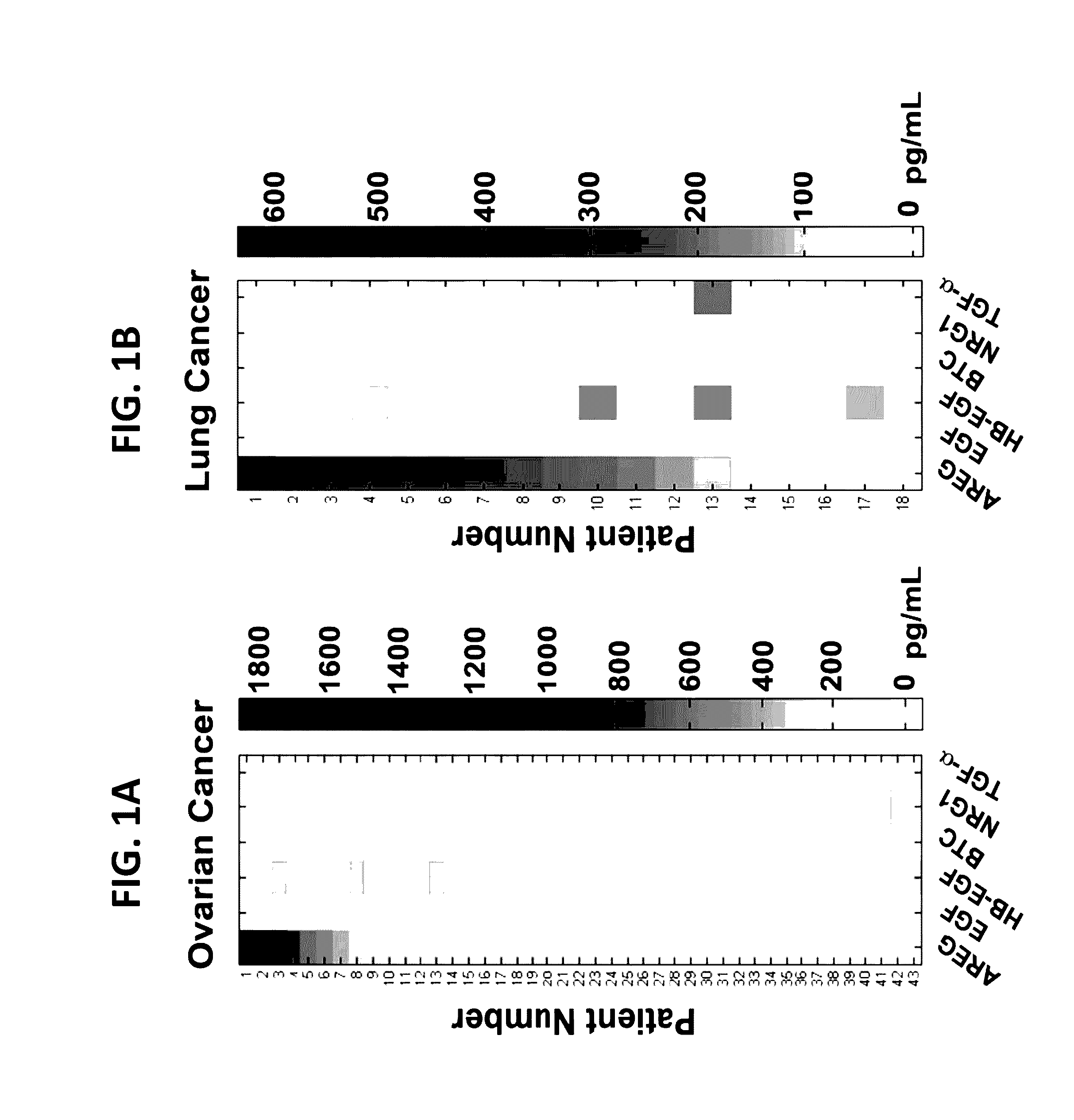 Anti amphiregulin antibodies, compositions comprising same and uses thereof