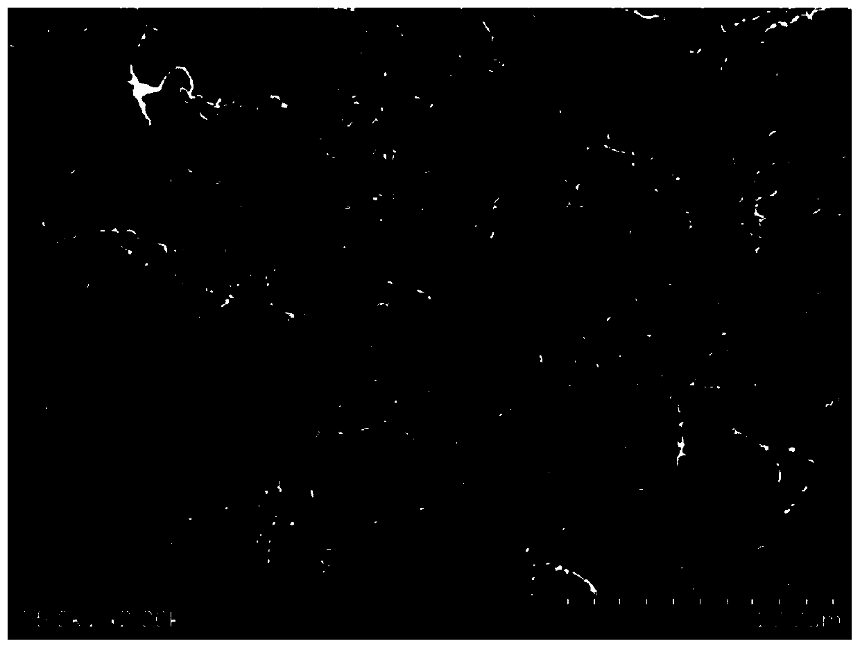 Humidity-sensitive nano-microcrystalline cellulose nanofiber composite film and preparation method thereof