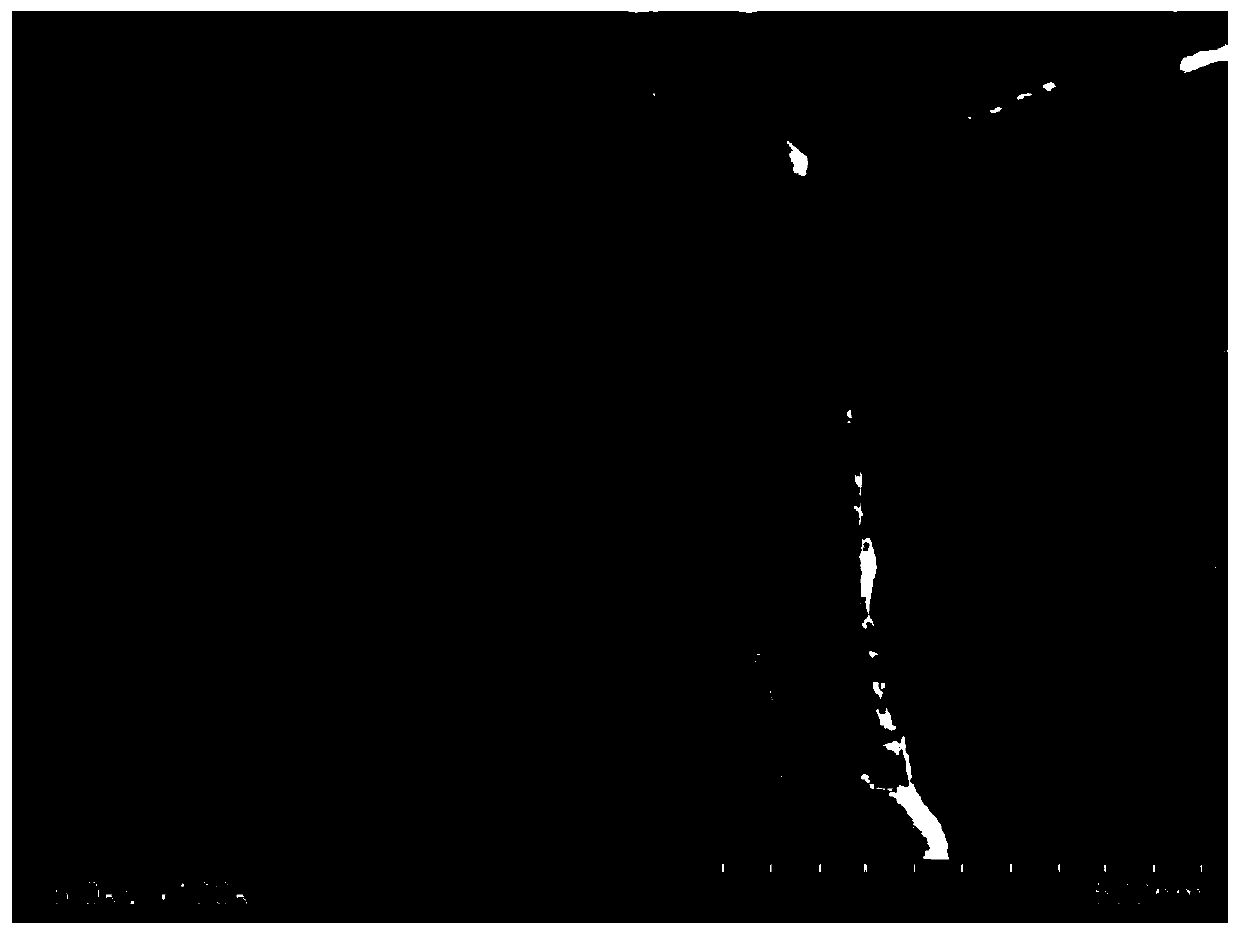 Humidity-sensitive nano-microcrystalline cellulose nanofiber composite film and preparation method thereof