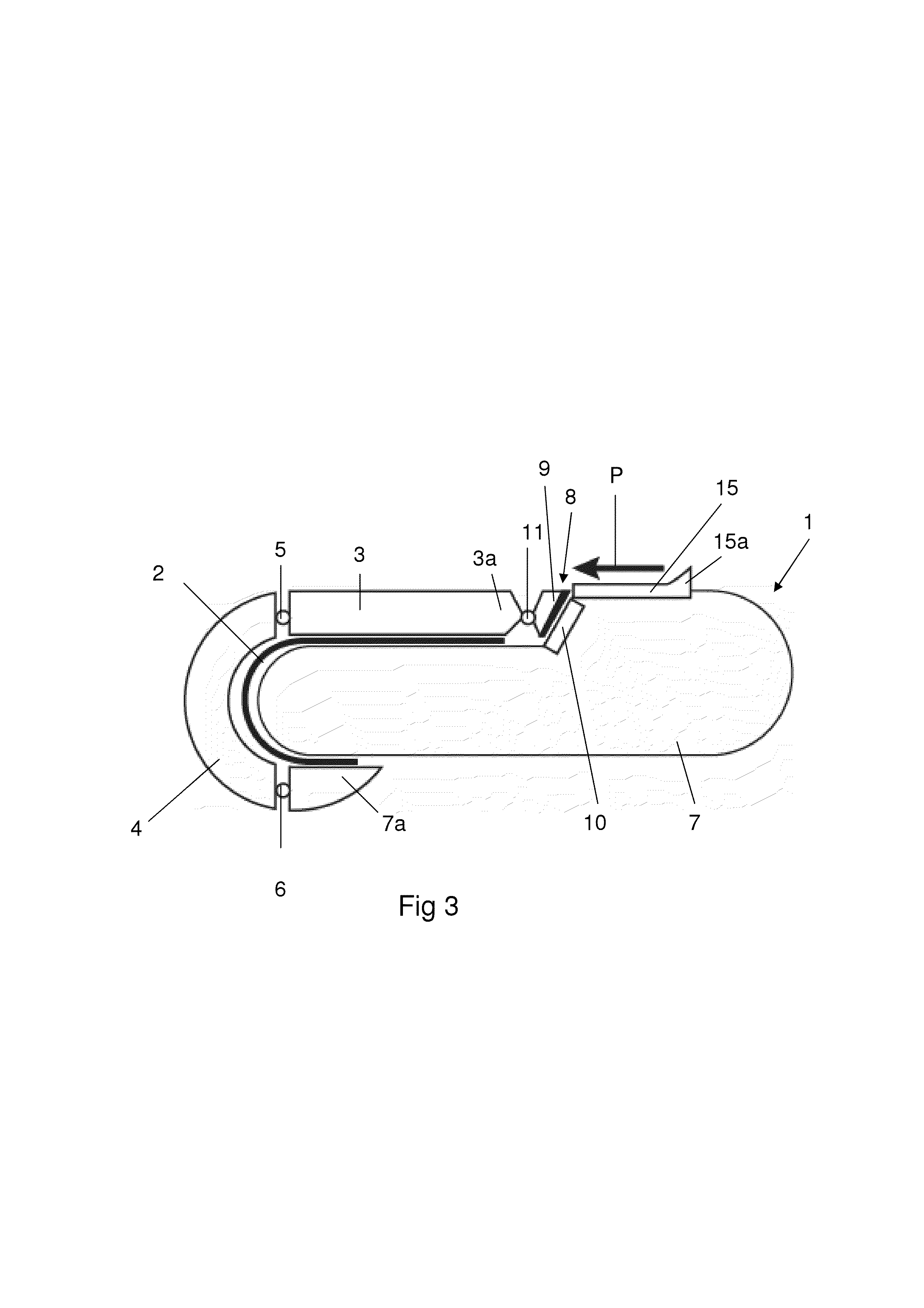 Display device with flexible display
