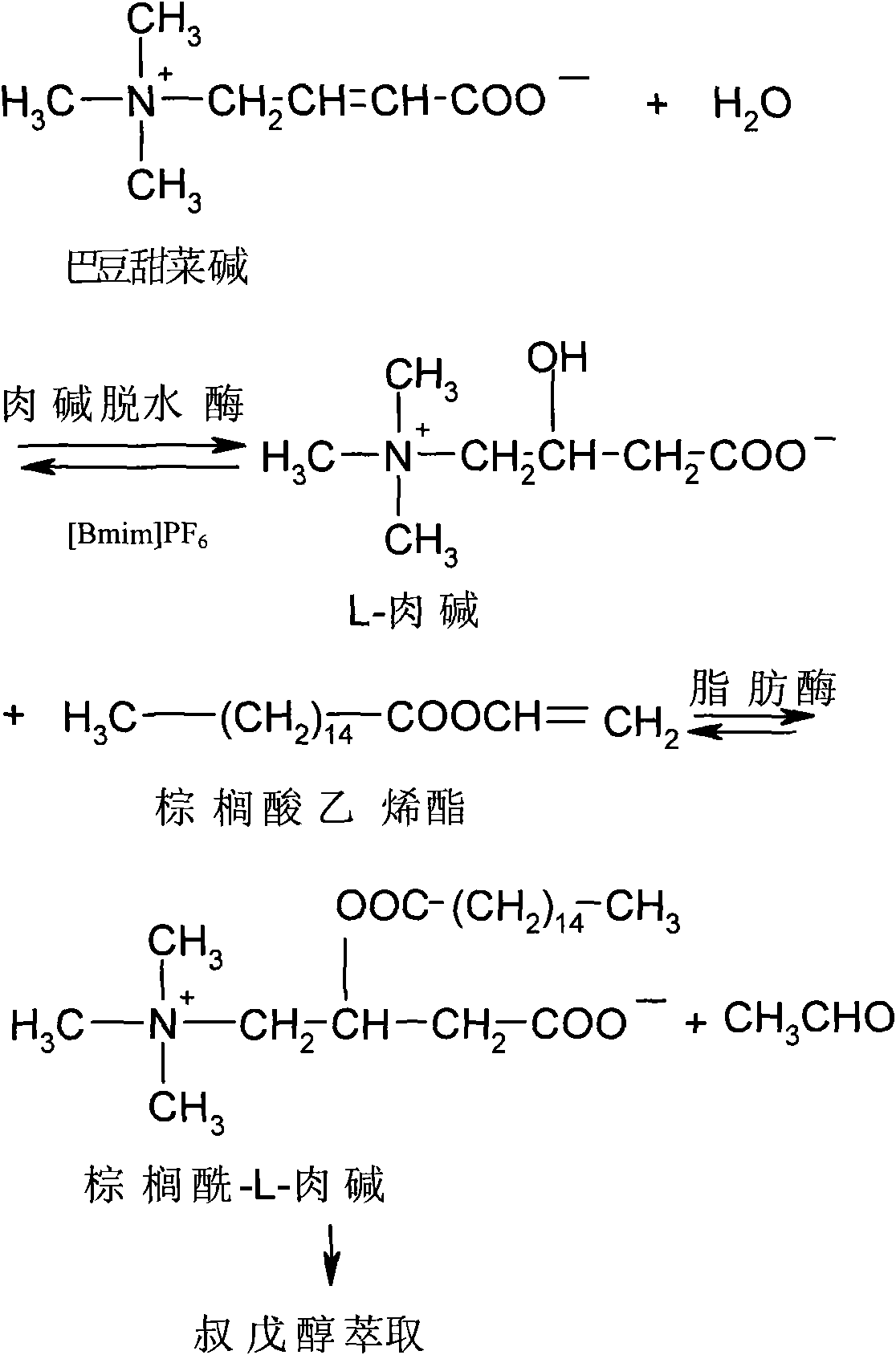 Method for preparing acyl-L-carnitine and/or L-carnitine