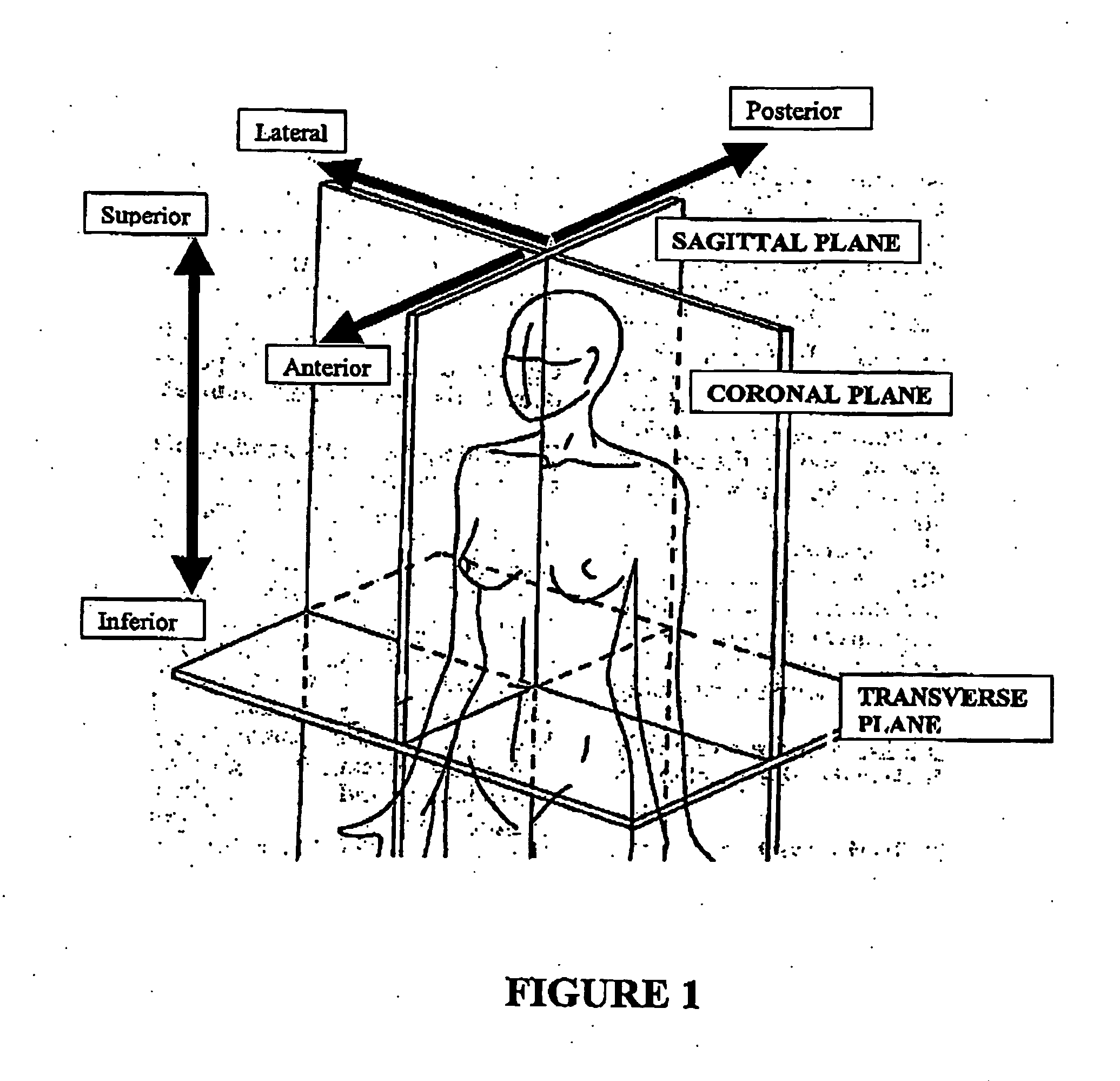 Assessment Apparatus and Method