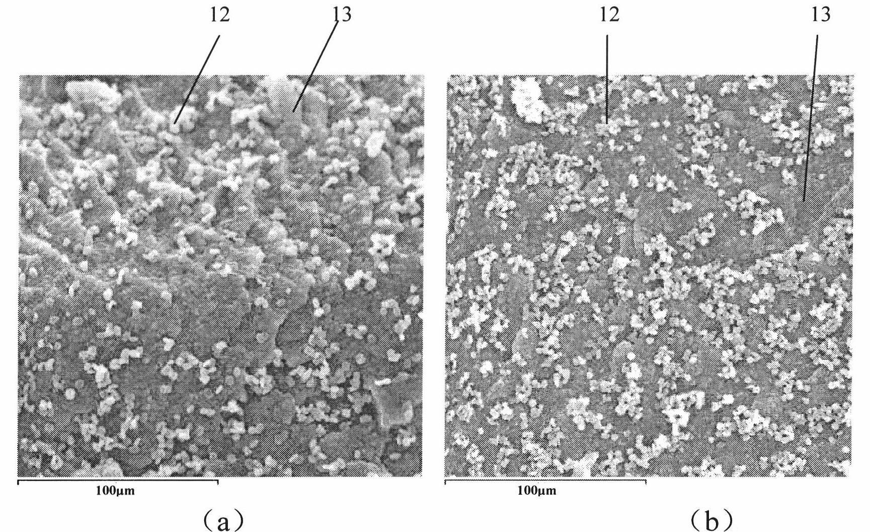 Method for preparing thermoplastic elastomer by supercritical fluid assisted dynamic vulcanization
