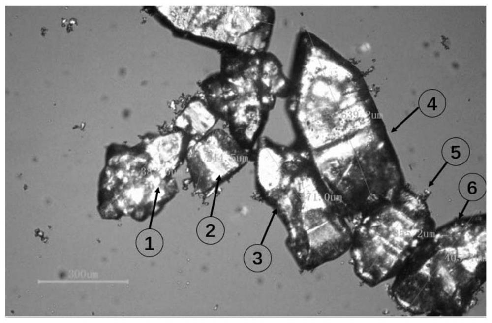 A kind of azithromycin medicinal composition and its preparation method and its application