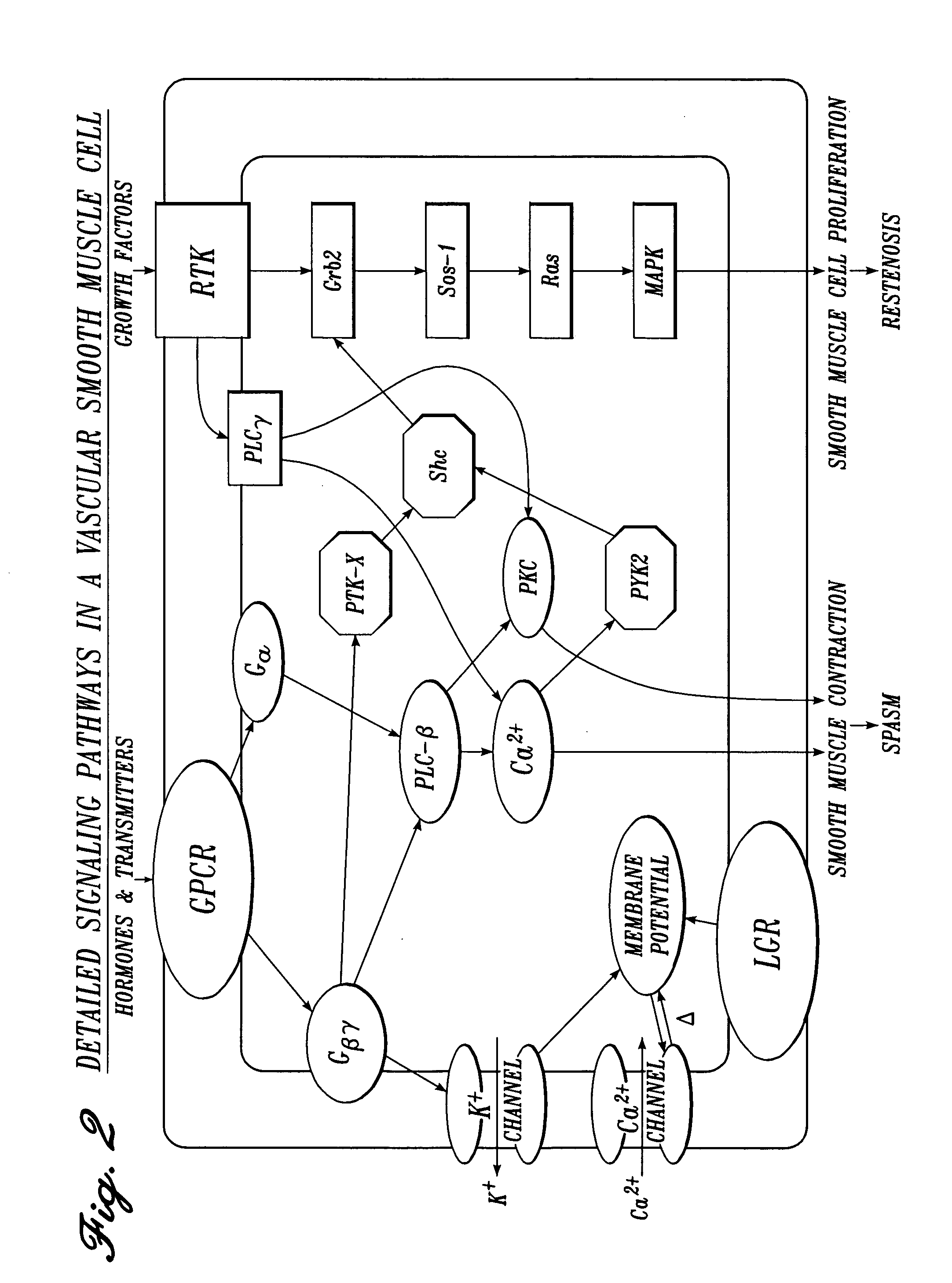 Irrigation solution and method for inhibition of pain and inflammation