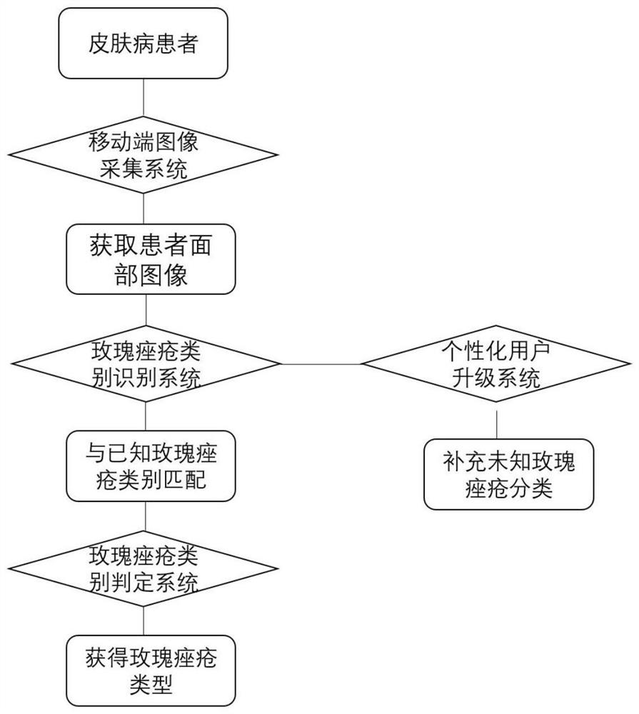 Rose acne classification software based on computer vision