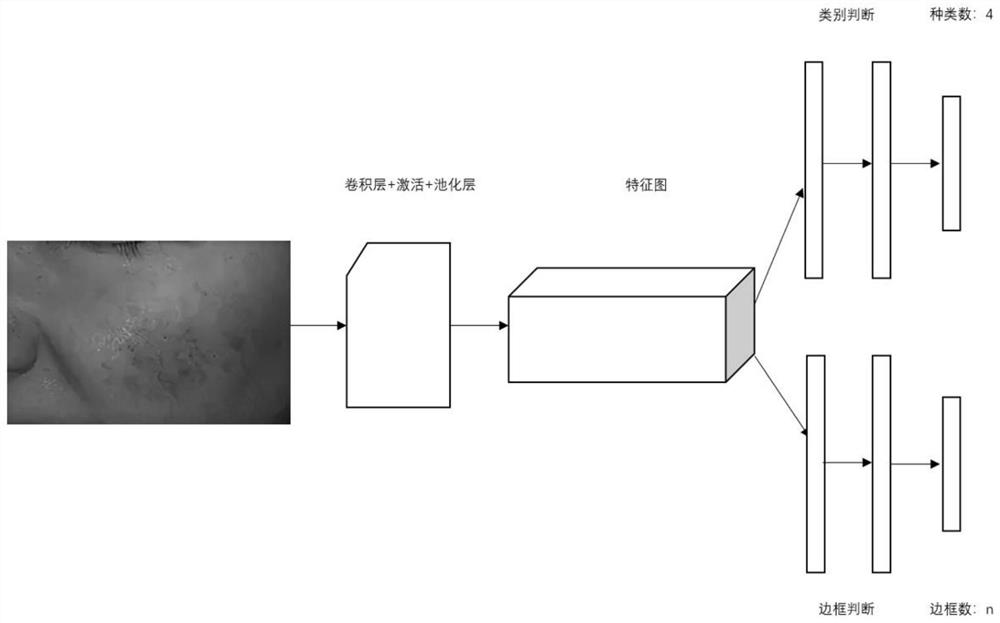 Rose acne classification software based on computer vision