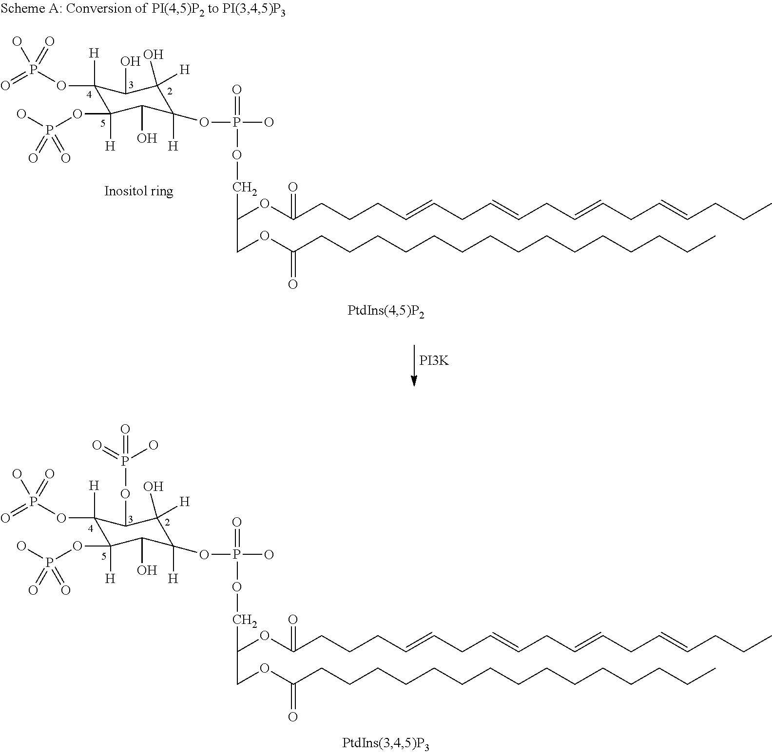 Benzpyrazole derivatives as inhibitors of pi3 kinases