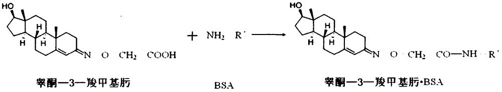 A kind of production technology of sheep and goat steroid hormone antigen twin vaccine