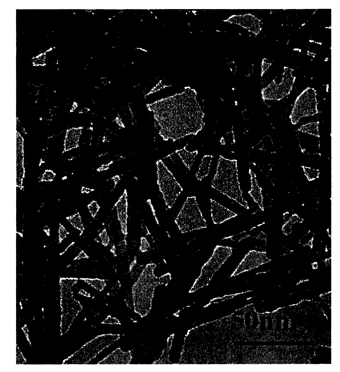 Method for synthesizing nano cerium oxide with different morphologies by hydrothermal method