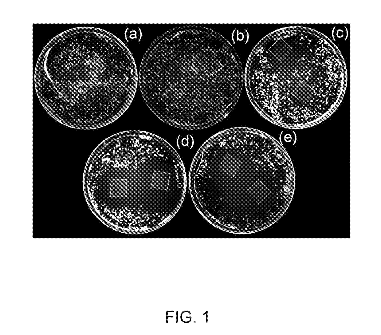 Polymeric composite materials with antimicrobial and biodegradable properties and uses thereof